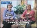 b3dec21.flv