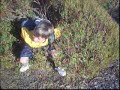 bush jump
