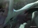 KOE Tsukiko Amano final fantasy music video