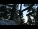 Go Ape! High Wire