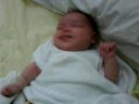 eden rose, august 12 2008
