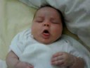 eden rose, august 12 2008