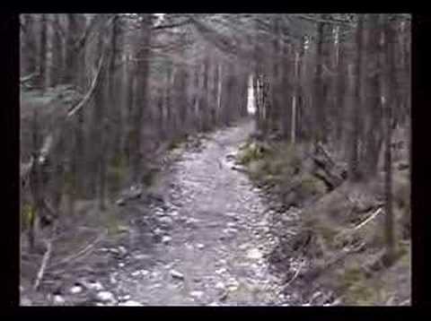 Mt. LeConte
