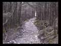 Mt. LeConte