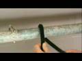 How to Tie a Clove Hitch Knot, as seen on eXtension