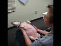 Paco, my fat sleepy Chihuahua