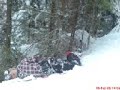 grnklitt-the-movie-2.html