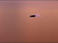 Interstellar - Episode 1