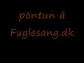 isk fuglesang