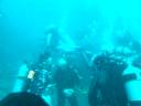 Scuba Diving at Puerto Galera