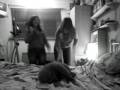 videos de 7THINGS =D