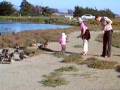 Ayka Feeding the Ducks at Pajaro Dunes