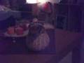 Hamster schiebt Absurz