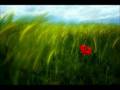Gelinci�in H�zn� Nil              M�zik;FAR�D FARJAD