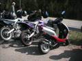 Borås moppemeet