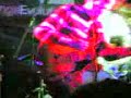 teenage-fanclub-everything-flows.html