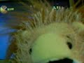 Aslan the Webkinz Lion Plays Pac-Man World 2: Part 1