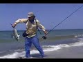 Fly Fishing Mexico Rooster Fish