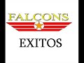 Falcons Mix I