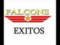 Falcons Mix I