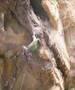 jmenbol en la vagoneta (7a)