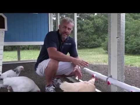 Chicken Coop Rain Barrel System