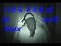 wheeling and prospect heights by:KKRAZY wheeling and prospect heights by:KKRAZY