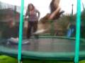 all aboard the trampoline