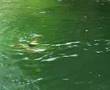 videos de My VideoS