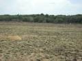 videos de Finca La Primavera_12
