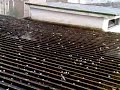 Grandinata a Bolzano il 24/6/2008 - part 1 - Hailstorm Hagel Grandinata a Bolzano il 24/6/2008 - part 1 - Hailstorm Hagel