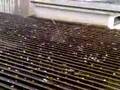 Grandinata a Bolzano il 24/6/2008 - part 1 - Hailstorm Hagel