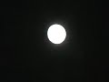 BIKING NEW YORK CITY/ MOON SHOT WITH MIND TRANSPORT CD BIKING NEW YORK CITY/ MOON SHOT WITH MIND TRANSPORT CD