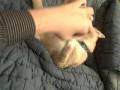 videos de NEW KITTEN! :)