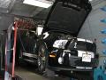 2010 Shelby GT500 Dyno Run