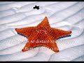 All By Myself - Eric Carmen