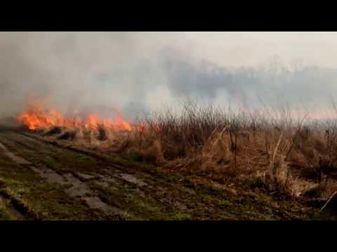 Controlled Burn Controlled Burn