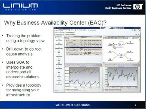 how to check patch version in hp-ux