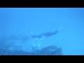 Meeting The Mantas