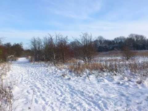 how to control warts