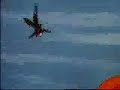 Trunks Tribute - Chop Suey Trunks Tribute - Chop Suey