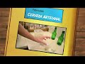 Cerveza Artesanal en IDEAME