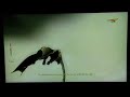 Lair gameplay 4