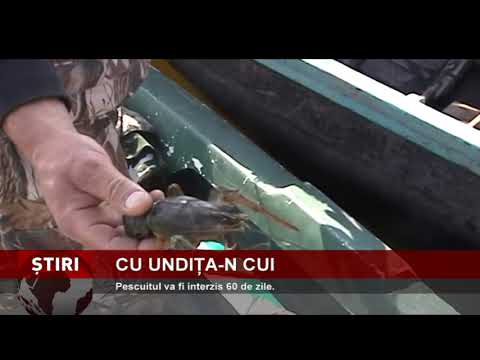 Prohibiție la pescuit, pentru 60 de zile