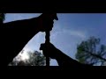 Marine Corps Commercial Marine Corps Commercial