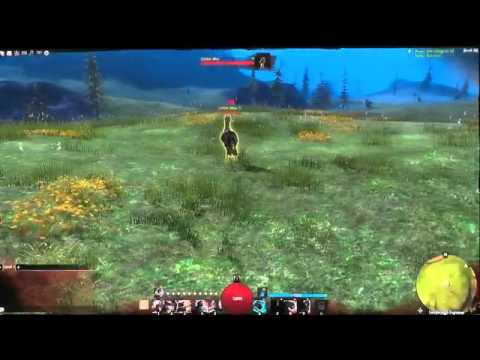 Guild Warsclasses on Guild Wars 2 Thief Class Leaked   Video   Vgrevolution