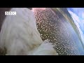 Earthflight su BBC One