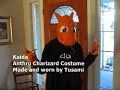 Charizard Costume (Movable Jaw) Charizard Costume (Movable Jaw)