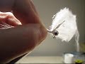 White Minnow White Minnow