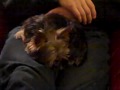 Winter Nap